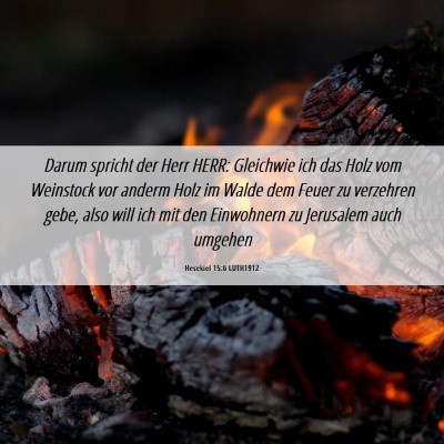 Picture 06 - Hesekiel 15:6 LUTH1912 - Darum spricht der Herr HERR: Gleichwie ich das - Bible Verse Picture