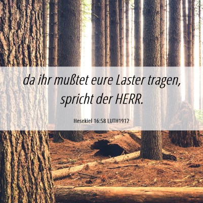 Picture 06 - Hesekiel 16:58 LUTH1912 - da ihr mußtet eure Laster tragen, spricht der - Bible Verse Picture