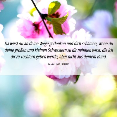 Picture 06 - Hesekiel 16:61 LUTH1912 - Da wirst du an deine Wege gedenken und dich - Bible Verse Picture