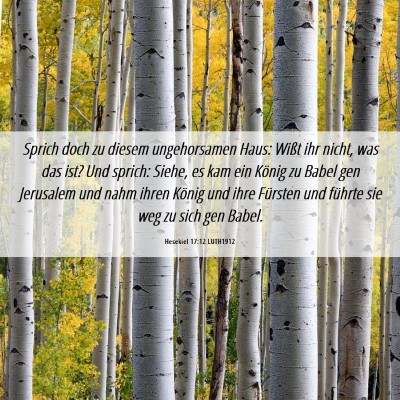 Picture 06 - Hesekiel 17:12 LUTH1912 - Sprich doch zu diesem ungehorsamen Haus: Wißt - Bible Verse Picture
