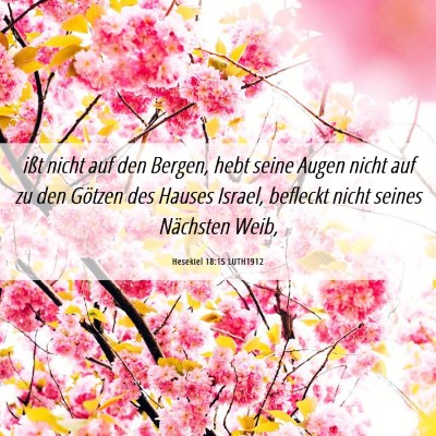Picture 06 - Hesekiel 18:15 LUTH1912 - ißt nicht auf den Bergen, hebt seine Augen nicht - Bible Verse Picture