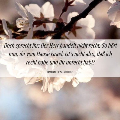 Picture 06 - Hesekiel 18:25 LUTH1912 - Doch sprecht ihr: Der Herr handelt nicht recht. - Bible Verse Picture