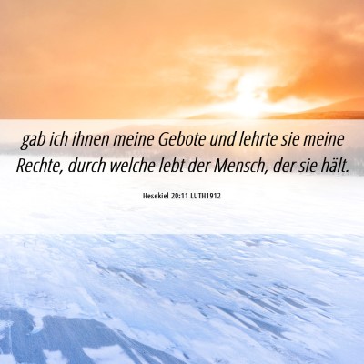 Picture 06 - Hesekiel 20:11 LUTH1912 - gab ich ihnen meine Gebote und lehrte sie meine - Bible Verse Picture