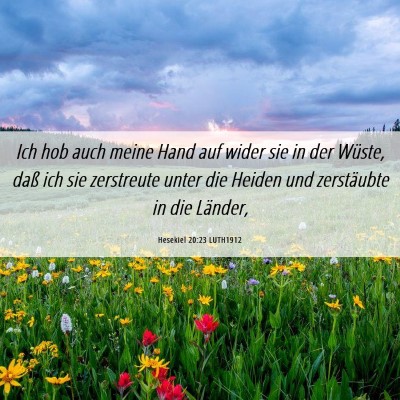 Picture 06 - Hesekiel 20:23 LUTH1912 - Ich hob auch meine Hand auf wider sie in der - Bible Verse Picture