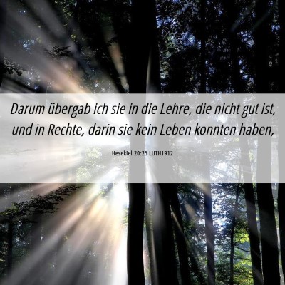 Picture 06 - Hesekiel 20:25 LUTH1912 - Darum übergab ich sie in die Lehre, die nicht - Bible Verse Picture