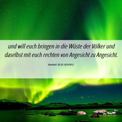 Picture 06 - Hesekiel 20:35 LUTH1912 - und will euch bringen in die Wüste der Völker - Bible Verse Picture