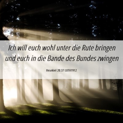 Picture 06 - Hesekiel 20:37 LUTH1912 - Ich will euch wohl unter die Rute bringen und - Bible Verse Picture