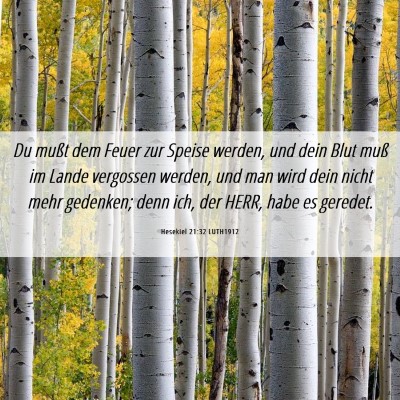 Picture 06 - Hesekiel 21:32 LUTH1912 - Du mußt dem Feuer zur Speise werden, und dein - Bible Verse Picture