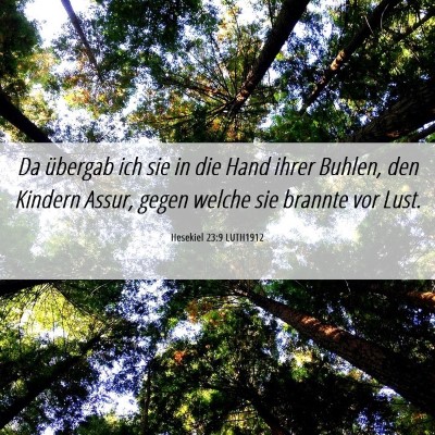 Picture 06 - Hesekiel 23:9 LUTH1912 - Da übergab ich sie in die Hand ihrer Buhlen, den - Bible Verse Picture