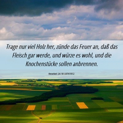 Picture 06 - Hesekiel 24:10 LUTH1912 - Trage nur viel Holz her, zünde das Feuer an, - Bible Verse Picture