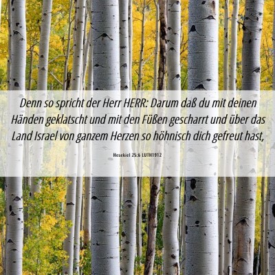 Picture 06 - Hesekiel 25:6 LUTH1912 - Denn so spricht der Herr HERR: Darum daß du mit - Bible Verse Picture