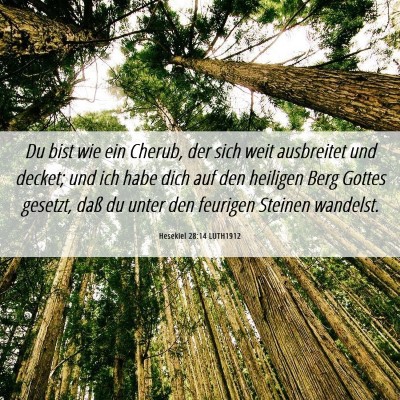 Picture 06 - Hesekiel 28:14 LUTH1912 - Du bist wie ein Cherub, der sich weit ausbreitet - Bible Verse Picture