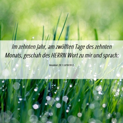 Picture 06 - Hesekiel 29:1 LUTH1912 - Im zehnten Jahr, am zwölften Tage des zehnten - Bible Verse Picture