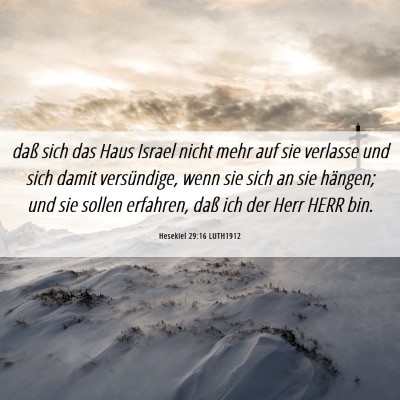 Picture 06 - Hesekiel 29:16 LUTH1912 - daß sich das Haus Israel nicht mehr auf sie - Bible Verse Picture
