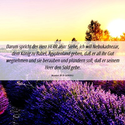 Picture 06 - Hesekiel 29:19 LUTH1912 - Darum spricht der Herr HERR also: Siehe, ich will - Bible Verse Picture
