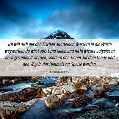 Picture 06 - Hesekiel 29:5 LUTH1912 - Ich will dich mit den Fischen aus deinen Wassern - Bible Verse Picture