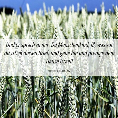 Picture 06 - Hesekiel 3:1 LUTH1912 - Und er sprach zu mir: Du Menschenkind, iß, was - Bible Verse Picture