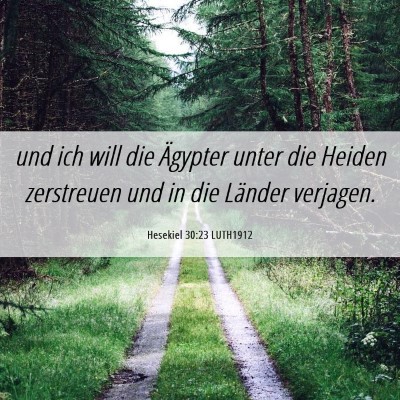 Picture 06 - Hesekiel 30:23 LUTH1912 - und ich will die Ägypter unter die Heiden - Bible Verse Picture