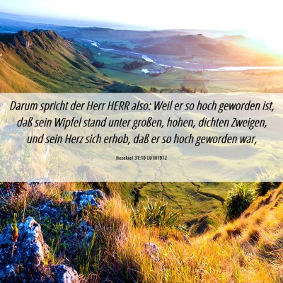 Picture 06 - Hesekiel 31:10 LUTH1912 - Darum spricht der Herr HERR also: Weil er so hoch - Bible Verse Picture