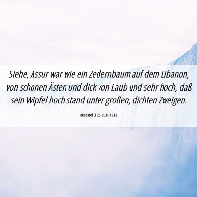 Picture 06 - Hesekiel 31:3 LUTH1912 - Siehe, Assur war wie ein Zedernbaum auf dem - Bible Verse Picture