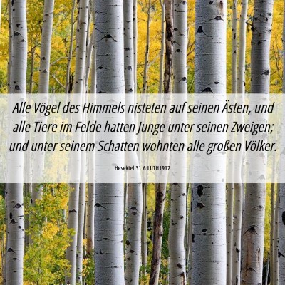 Picture 06 - Hesekiel 31:6 LUTH1912 - Alle Vögel des Himmels nisteten auf seinen - Bible Verse Picture