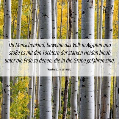 Picture 06 - Hesekiel 32:18 LUTH1912 - Du Menschenkind, beweine das Volk in Ägypten und - Bible Verse Picture