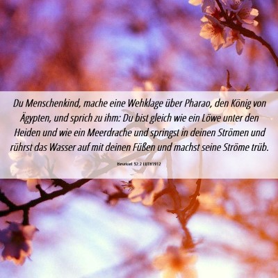 Picture 06 - Hesekiel 32:2 LUTH1912 - Du Menschenkind, mache eine Wehklage über - Bible Verse Picture