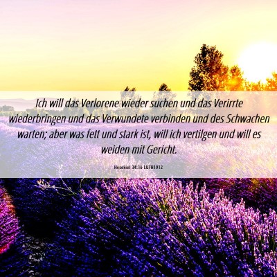 Picture 06 - Hesekiel 34:16 LUTH1912 - Ich will das Verlorene wieder suchen und das - Bible Verse Picture