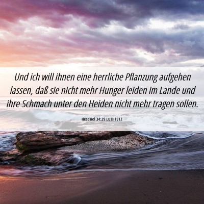 Picture 06 - Hesekiel 34:29 LUTH1912 - Und ich will ihnen eine herrliche Pflanzung - Bible Verse Picture