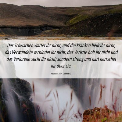 Picture 06 - Hesekiel 34:4 LUTH1912 - Der Schwachen wartet ihr nicht, und die Kranken - Bible Verse Picture