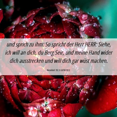 Picture 06 - Hesekiel 35:3 LUTH1912 - und sprich zu ihm: So spricht der Herr HERR: - Bible Verse Picture