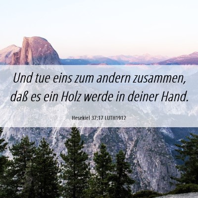 Picture 06 - Hesekiel 37:17 LUTH1912 - Und tue eins zum andern zusammen, daß es ein - Bible Verse Picture
