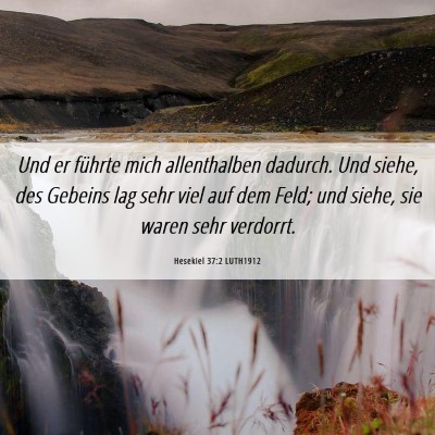 Picture 06 - Hesekiel 37:2 LUTH1912 - Und er führte mich allenthalben dadurch. Und - Bible Verse Picture