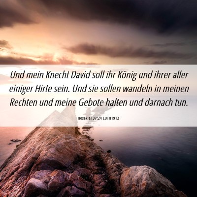 Picture 06 - Hesekiel 37:24 LUTH1912 - Und mein Knecht David soll ihr König und ihrer - Bible Verse Picture