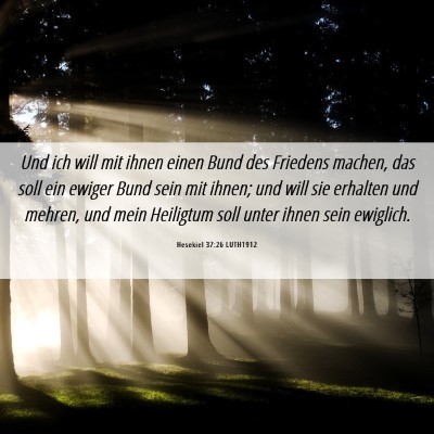 Picture 06 - Hesekiel 37:26 LUTH1912 - Und ich will mit ihnen einen Bund des Friedens - Bible Verse Picture