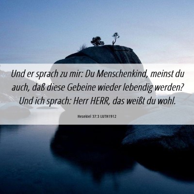 Picture 06 - Hesekiel 37:3 LUTH1912 - Und er sprach zu mir: Du Menschenkind, meinst du - Bible Verse Picture