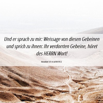 Picture 06 - Hesekiel 37:4 LUTH1912 - Und er sprach zu mir: Weissage von diesen - Bible Verse Picture