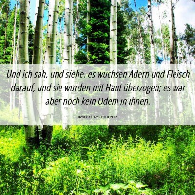 Picture 06 - Hesekiel 37:8 LUTH1912 - Und ich sah, und siehe, es wuchsen Adern und - Bible Verse Picture
