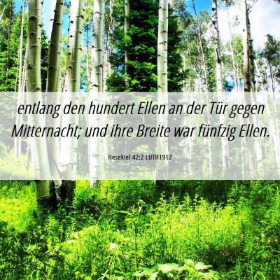 Picture 06 - Hesekiel 42:2 LUTH1912 - entlang den hundert Ellen an der Tür gegen - Bible Verse Picture