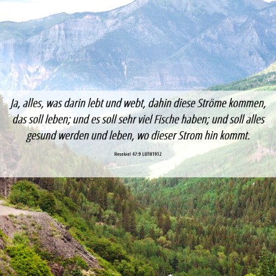 Picture 06 - Hesekiel 47:9 LUTH1912 - Ja, alles, was darin lebt und webt, dahin diese - Bible Verse Picture