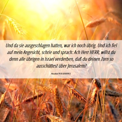 Picture 06 - Hesekiel 9:8 LUTH1912 - Und da sie ausgeschlagen hatten, war ich noch - Bible Verse Picture