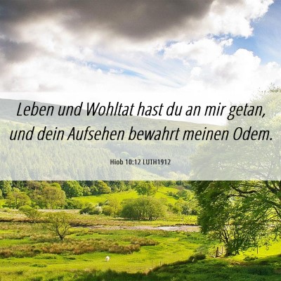 Picture 06 - Hiob 10:12 LUTH1912 - Leben und Wohltat hast du an mir getan, und dein - Bible Verse Picture