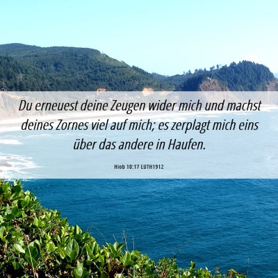 Picture 06 - Hiob 10:17 LUTH1912 - Du erneuest deine Zeugen wider mich und machst - Bible Verse Picture
