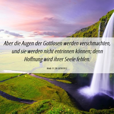 Picture 06 - Hiob 11:20 LUTH1912 - Aber die Augen der Gottlosen werden - Bible Verse Picture