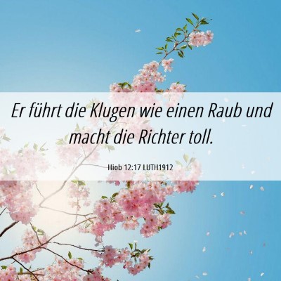 Picture 06 - Hiob 12:17 LUTH1912 - Er führt die Klugen wie einen Raub und macht die - Bible Verse Picture