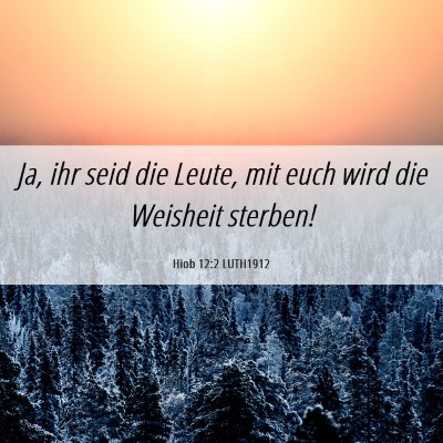 Picture 06 - Hiob 12:2 LUTH1912 - Ja, ihr seid die Leute, mit euch wird die - Bible Verse Picture