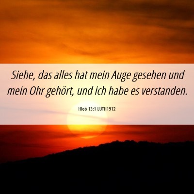 Picture 06 - Hiob 13:1 LUTH1912 - Siehe, das alles hat mein Auge gesehen und mein - Bible Verse Picture