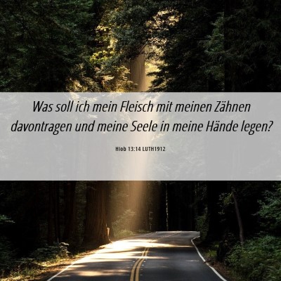 Picture 06 - Hiob 13:14 LUTH1912 - Was soll ich mein Fleisch mit meinen Zähnen - Bible Verse Picture