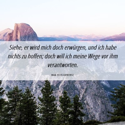 Picture 06 - Hiob 13:15 LUTH1912 - Siehe, er wird mich doch erwürgen, und ich habe - Bible Verse Picture