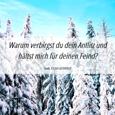 Picture 06 - Hiob 13:24 LUTH1912 - Warum verbirgst du dein Antlitz und hältst mich - Bible Verse Picture